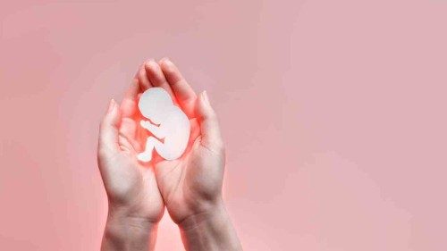 AdobeStock_247380810.jpg